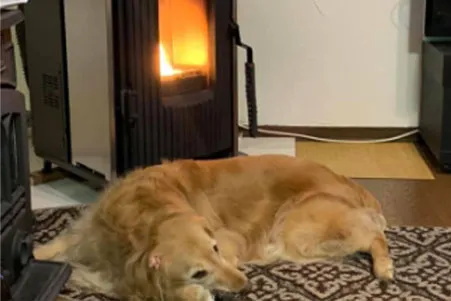 断熱工事（ペレットストーブ）